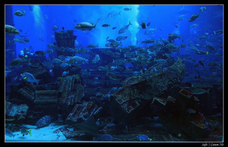 2012 - 06 - Dubai - 061